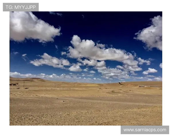 开云真人手机版加强客户服务体系,提供全天候专业支持保障用户权益 开云真人手机版加强客户服务体系,提供全天候专业支持保障用户权益